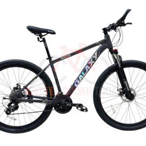 GALAXY 29" XC11 MTB