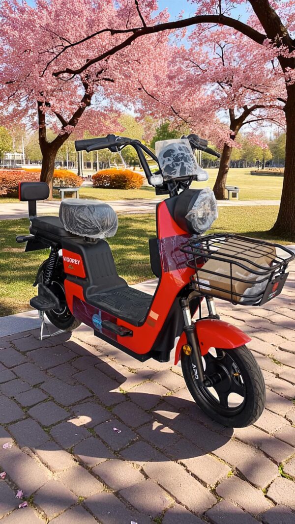 اسكوتر ViGOREY 48V SHAMO lithium